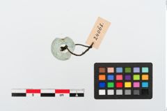 Foto von Glasringperle (NHMW-PRAE-024068)